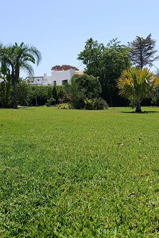 Jardín