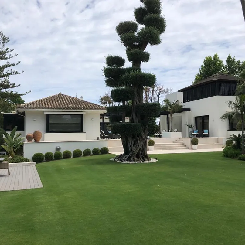 Jardín